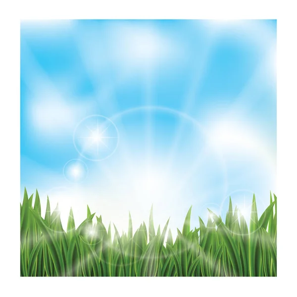 Zelená Tráva Proti Modré Obloze — Stockový vektor