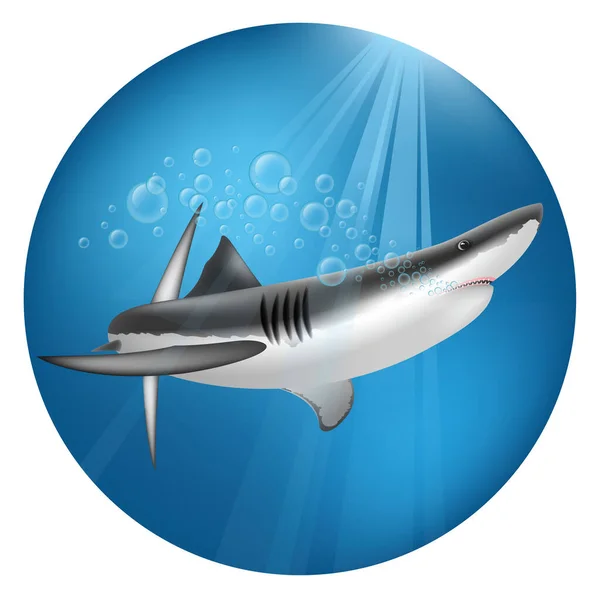 Bir Köpekbalığı Sualtı Illüstrasyonu — Stok Vektör