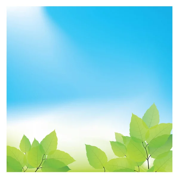 Zelené Listy Proti Modré Obloze Ilustrace — Stockový vektor