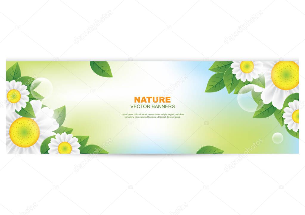 A nature banner with sunflowers.