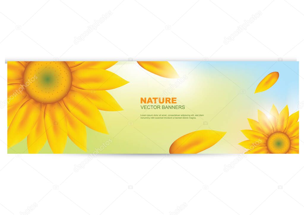 A nature banner with sunflower.
