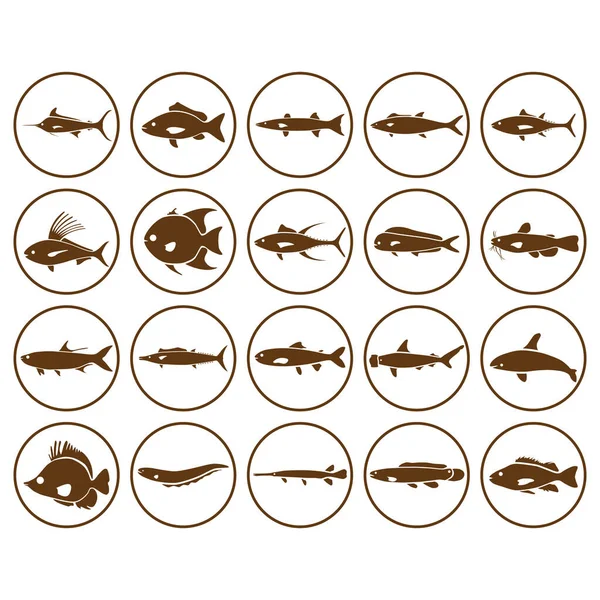 Een Set Van Vis Pictogrammen Illustratie — Stockvector