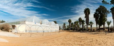 İsrail 'deki seraların panoramik manzarası. Negev 'in kuzeybatısındaki tarım merkezini araştırın.