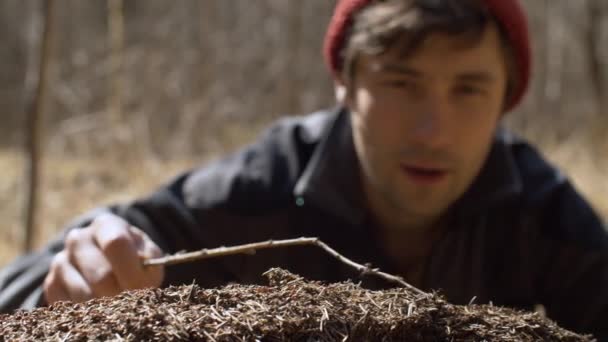 Молодой человек наблюдает за муравьями — стоковое видео