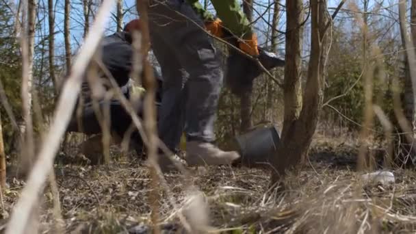 Эко-активисты собирают мусор в лесу — стоковое видео