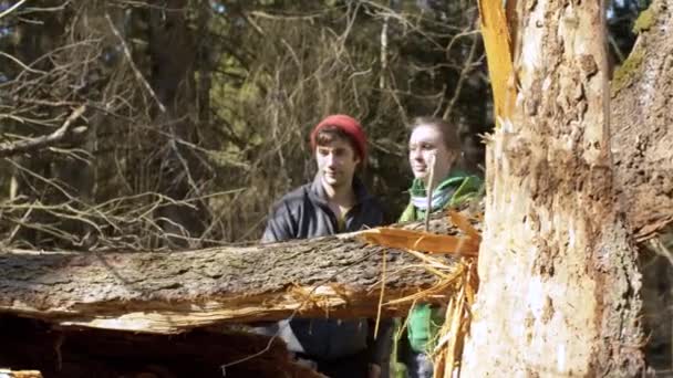 Pareja feliz caminando en el bosque — Vídeos de Stock