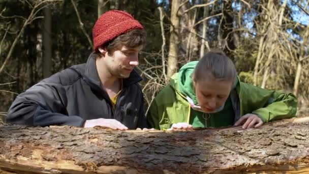 Счастливая пара у ствола упавшего дерева — стоковое видео