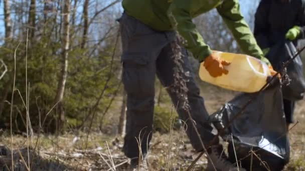 Eco activistas recogiendo basura en el bosque — Vídeos de Stock