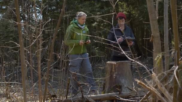 Eco volunteers shooting sawn tree — Stock Video