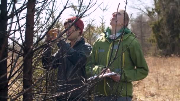 Eco volunteers on the place of forest fire — Stock Video