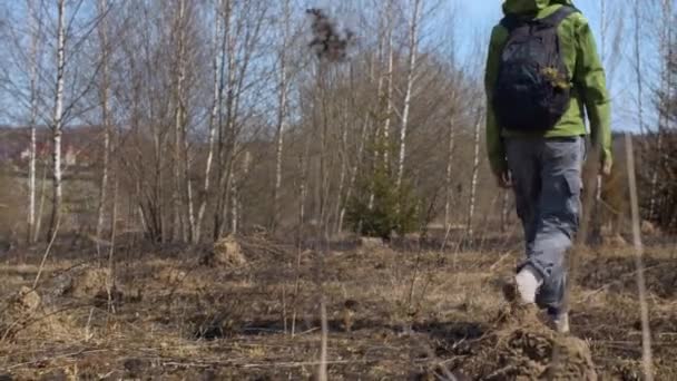 Junge Frau geht im Wald spazieren — Stockvideo