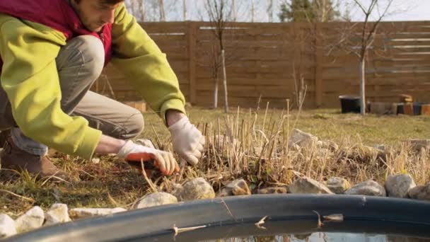 Man beskärning med secateurs torra stjälkar — Stockvideo