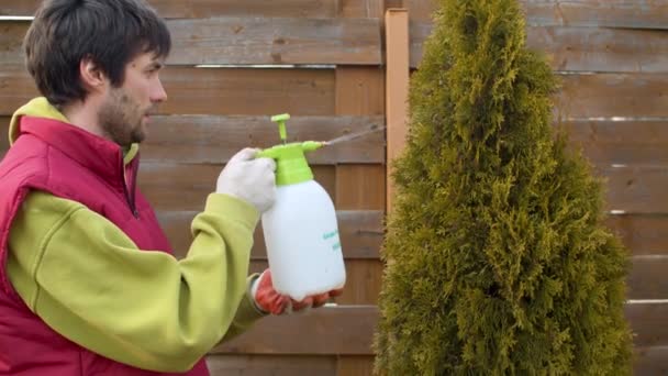 Sprinkling homem planta com frasco de spray — Vídeo de Stock