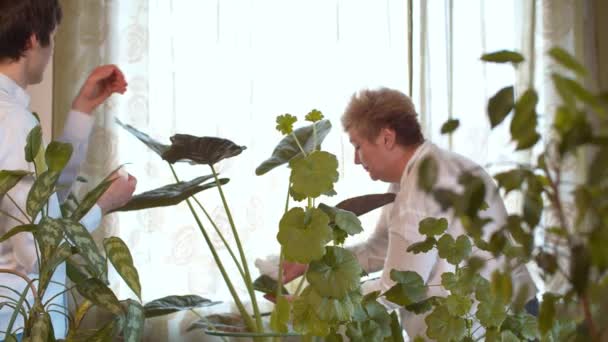 Family take care of houseplants — Stock Video