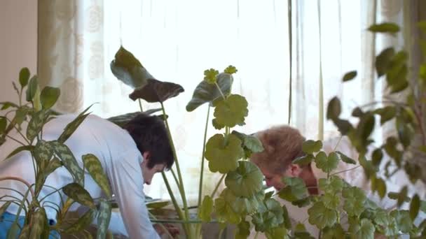 Vuxen son och äldre mamma tar hand om krukväxter — Stockvideo