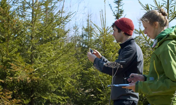 Twee Eco Activisten Nemen Foto Van Dennenbomen Het Bos Maken — Stockfoto