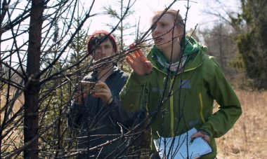Nesli tükenmiş orman yangınında çevre gönüllüleri. Yanmış ladin ağaçlarını incelerler ve notlar tutarlar. Eylemciler ormandaki yangın yerlerini keşfederler. Orman yangını önleme.