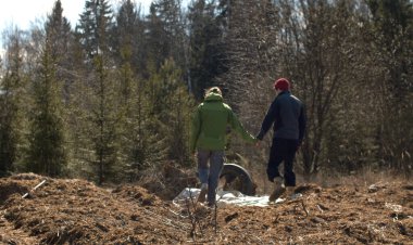 Eko gönüllüleri el ele yürüyorlar. Ormanda ilkbaharın başlarında. Ağaçlarda yaprak yok, yeşil köknar ağaçları, açık mavi gökyüzü, güneşli bir gün. Dünya günü.