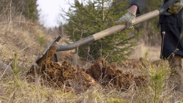把一个在森林附近挖土的人的腿绑起来 春天植树 地球日 生态友好概念 图库图片