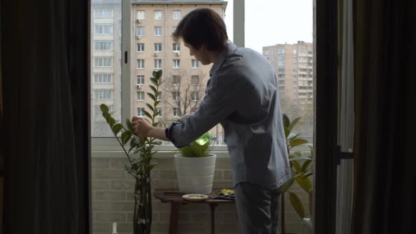 Человек распыляет комнатные растения и срезает сухие листья — стоковое видео