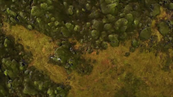 Aerial Bird Eye View Lava Field Covered Green Moss Iceland — Stock Video