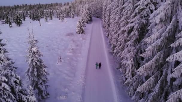 Chicas Corriendo Una Carretera Nevada Cerca Bosque Pinos Con Una — Vídeos de Stock