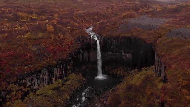 Letecký Pohled Islandský Vodopád Svartifoss Národním Parku Skaftafell Island Evropa — Stock video