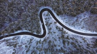 Kuşbakışı çekilen Romanya 'nın Transilvanya kentinde, üzerinde kar bulunan bir çam ağacı ormanı ve yanından geçen arabalarla çevrili kavisli bir yolun aşağı havadan görünüşü. İHA uçuyor