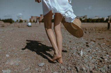 Kafasında zencefil lekeleri olan gri kısa saçlı kedi bej renkli koltukta oturuyor. Rus yazar Krestovsky tarafından yazılmış bir kağıt kitap. Cana yakınlık ve aile kavramı. Hayvan barınağı reklamı