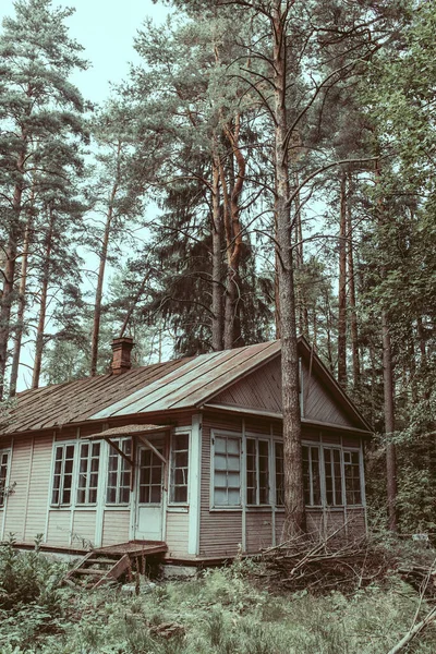 Abandoned House Exterior Old Wooden Building Forest Glade Amongst Pine — Stock Photo, Image