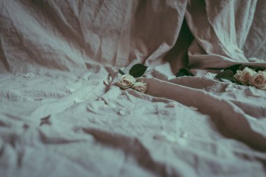 Beyaz yaprakların arasında keten bir çarşaf üzerinde beyaz güllerin yakın plan kompozisyonu. Çiçeksel konsept arka plan, kopyalama alanı. Yumuşak bir sabah dekoru. Bej renkli bir çiçek buketi, katlanmış tarafsız bir kumaş. Yumuşak odak