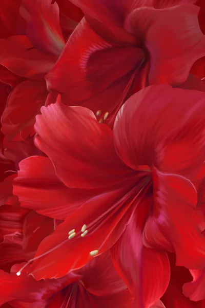 红色的大型番石榴 芙蓉花的坚实的背景 有些花蕾开放着迎接太阳 而另一些花蕾只是醒来撒开花瓣 非常明亮和快乐的图案 — 图库照片
