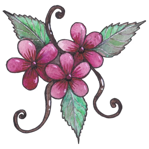 三朵月桂花 叶色紫罗兰 — 图库照片