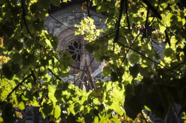 İtalyan dağlarının ötesindeki resimler Piedmont 'ta