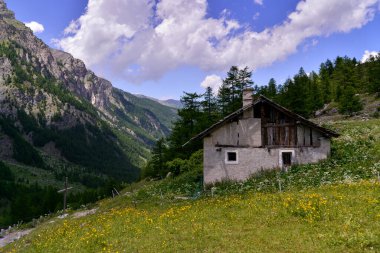 İtalya dağlarında sonbahar ormanı