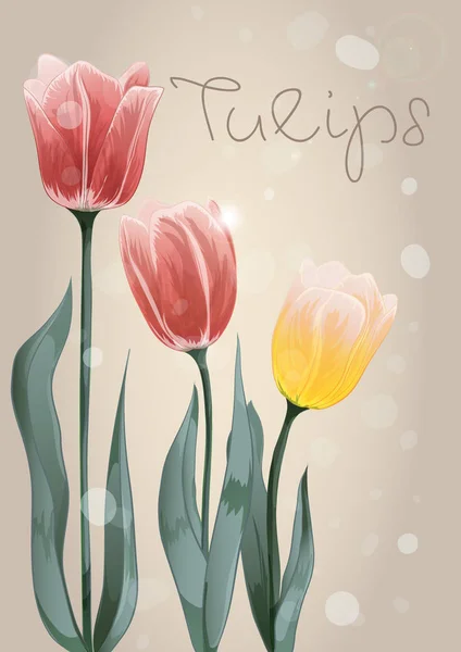 Un bouquet di tre tulipani giallo rosso — Vettoriale Stock
