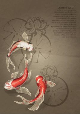 Üç Altın sazan kartıyla