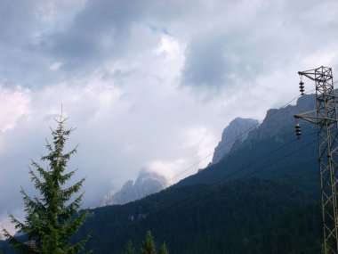 Arkasında dağ olan bir ağaç.