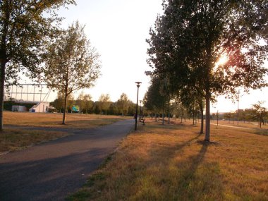 Yol kenarında ağaçlar olan bir patika.