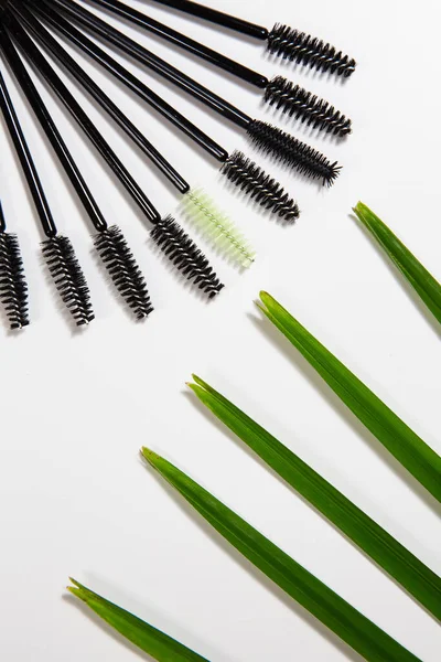 Lashmaker 'ın aletleri beyaz arka planda ve güzel bir palmiye ağacında. Fırça kirpiklerinin efendisi.