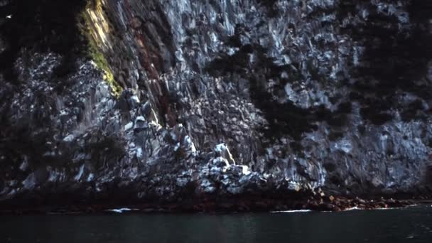 Cadre avec eau, falaises côtières, pierres, falaise au Kamchatka — Video