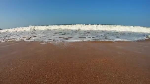 Güneşli Bir Sabahta Okyanus Dalgası — Stok video