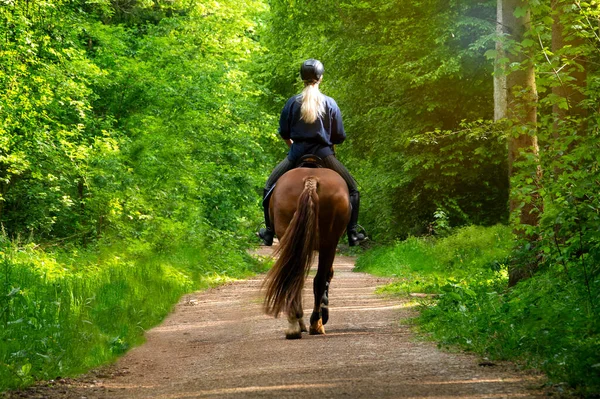 Una Jinete Femenina Camino Forestal — Foto de Stock