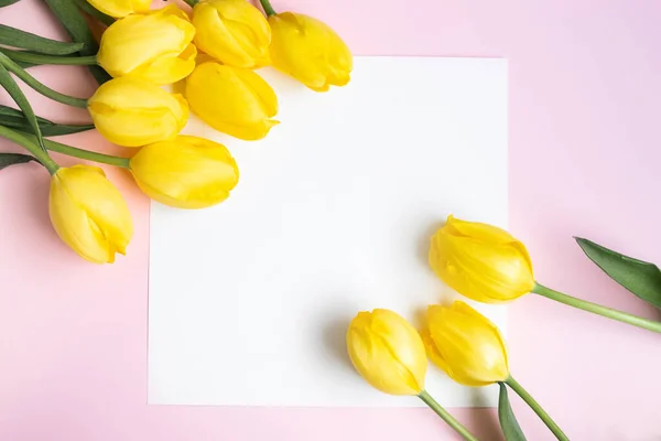 Vierkant Frame Voor Cadeaukaart Met Gele Tulpen Wit Vel Papier — Stockfoto