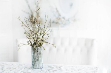 bir vazoda söğüt dalları