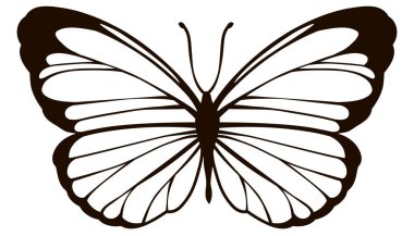 Basitleştirilmiş biçimlendirilmiş sevimli kelebek vektör ana hatları