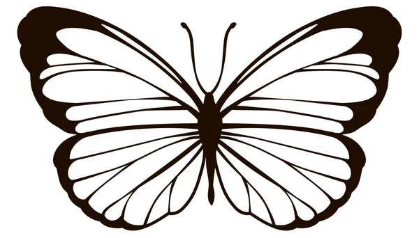 Упрощенный стилизованный векторный контур бабочки — стоковый вектор