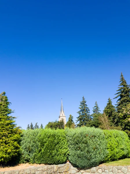 Bariloche şehrinde bir parkta çam ve kilise