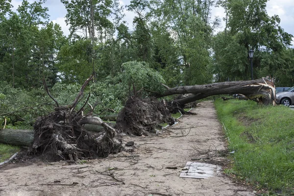 Sonra fırtına ve kasırga hasar