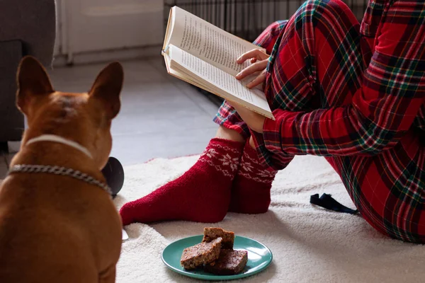 Yanında Fransız bulldogla kahvaltı ederken kitap okuyan bir kadın. Bilgi Rahatlama Kavramı